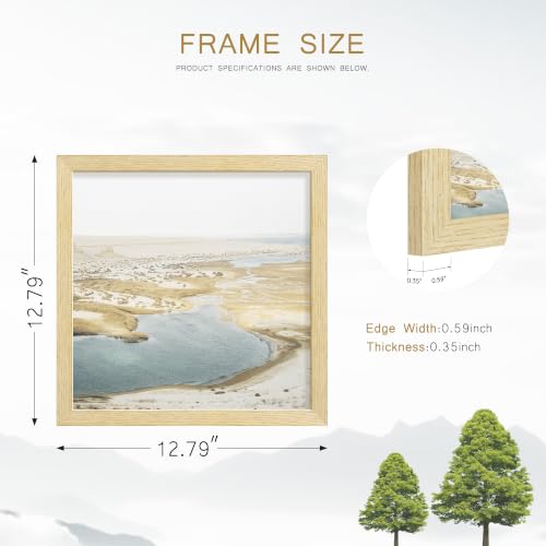 Image of 12x12 Picture Frame Set of 4, Natural Solid Wood Frames, Wall Mount