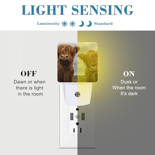 Image of Highland Cows Night Light with Dusk to Dawn Sensor for Kid Girls Boys Women Men Room Decor, Hallway, Kitchen, Bathroom, Nursery, Stairs