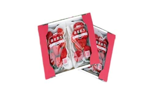 いちご 2025年12月より発送 うるう農園のあまおう サイズ色々4パック 約1.14kg 果物 フルーツ デザート 食後 特別栽培 福岡県産 国産 日本産 ※配送不可:離島