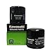 Genuine Kawasaki Oil Filter Part Number 16097-0007, 2 pack