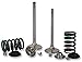 Xceldyne Technologies X2 Master Valve Kit - (+1mm)
