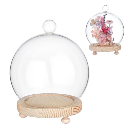 NBEADS Cubierta de Cúpula de Vidrio Decorativa, Cúpula de Cristal Transparente Redonda de 150x185mm con Base de Madera para Centros de Mesa, Plantas, Rocas, Especímenes, Decoraciones Y Manualidades