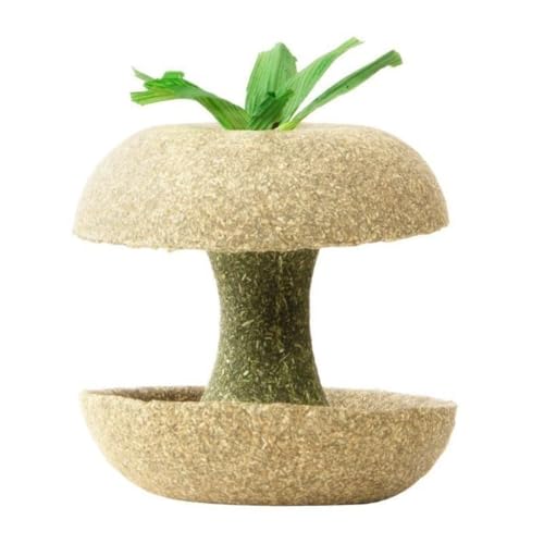 FILWYnX^[̊ނBybgǍNɗǂA̐Lтh܂BnX^[AETMA``A^ybg̊ޖ_ɓKĂ܂B (30)