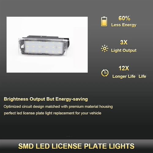 Evite multas con luces matrícula LED 6000K para Clio Laguna y Twingo 5