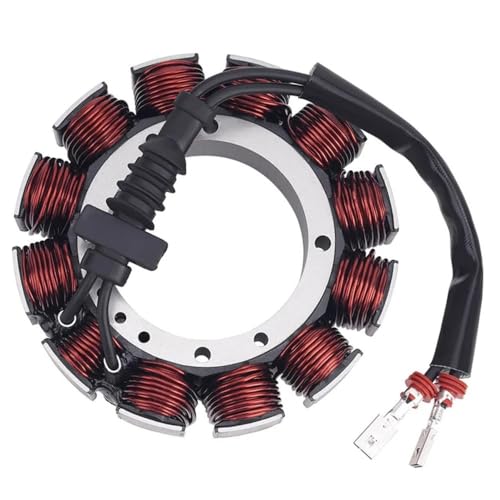 Stator de moto 1DJV 29987-02A pour remplacer l'allumage