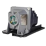 Lampe de projecteur de Remplacement, Compatible avec NEC NP110 NP115 NP210 NP215 NP216 V230X NP V260 V300W V311X V281W NP13LP NP18LP