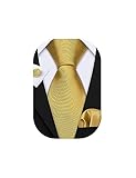 Barry.Wang Solid Gold Ties for Wedding Business Necktie and Pocket Square