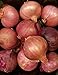 Fresh Shallots 2 Lbs.