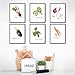 Kitchen Wall Decor Art Prints - Botanical Prints - (Set of 6) - Unframed - 8x10s | Flower Wall Décor | Kitchen Wall Décor | Vintage Wall Décor | Botanical Wall Art | Aesthetic Wall Décor