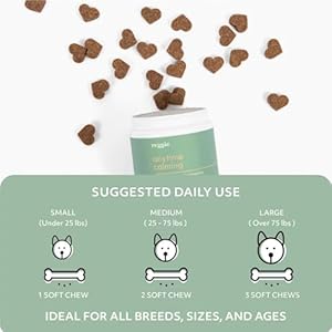 Reggie Anytime Calming Chews for Dogs | Natural Calming Dog Treats to Reduce Hyperactivity, Separation Anxiety, & Stress | Vet-Approved & Ideal for All Ages, Breeds, and Sizes – 60 Soft Chews