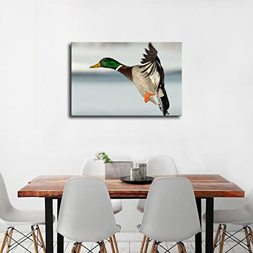 Mallard Duck Poster Home Decor Canvas Painting Hd Picture Bedroom Living Room Decor Wall Art Frameless And Framed Hanging (24X36Inch-No Framed) #TOP3