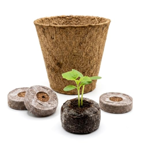 Image of Kids Pot-A-Plant Starter Pack (Kerala Coir) - 2 Biodegradable Coir Pots + 4 Cocopeat Netted Pellets (35mm) | Nature Activity Set for Children