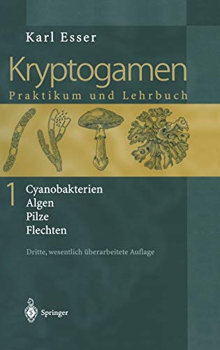 Preisvergleich Produktbild Kryptogamen 1: Cyanobakterien Algen Pilze Flechten Praktikum und Lehrbuch