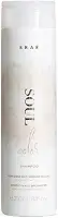 Shampoo Soul Color 250ml, BRAÉ