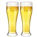 MICHLEY Vasos de cerveza Pilsner Tulip de 480 ml Copas de Fiesta Familiar Irrompibles de Plástico Tritan Irrompibles para Camping y uso Diario, Apto para Lavavajillas, 2 Unidad