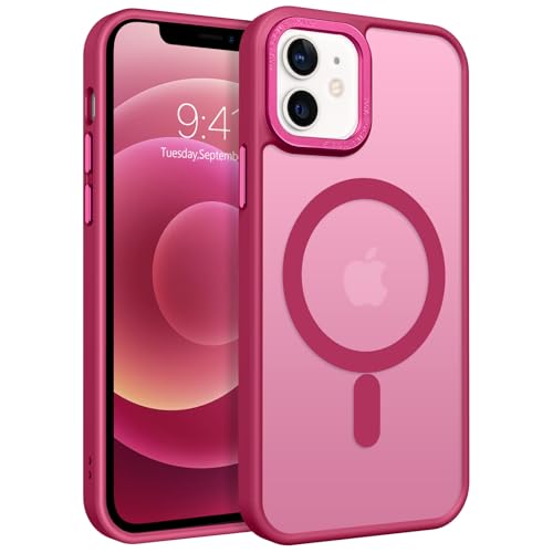 Coque mince iPhone 12 Mini anti-rayures pour résoudre les risques de chute