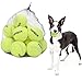 PUPTECK 12 Pack Dog Squeaky Tennis Balls for Pet Playing, High Vision Yellow Toy - 2.5 inches