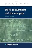 Work, Consumerism and the New Poor (UK Higher Education OUP Humanities & Social Sciences Sociology)