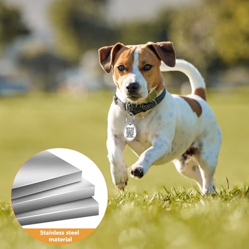 30 Stück Blanko-Hundemarken, personalisierbar, Namensschilder für Haustier-Katzen, Edelstahl-ID-Haustier-Halsbandanhänger, Metall-Schlüsselrohlinge, Schlüsselbeschriftungsanhänger für DIY-Set-Anhänger