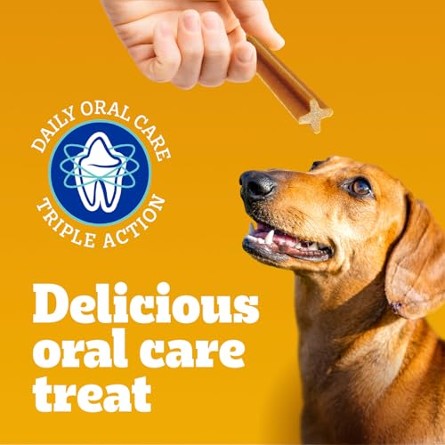 PEDIGREE DENTASTIX Oral Care Beef Flavour Adult Dog Treats - For Medium Breeds - Reduces Plaque and Tartar Buildup - 40 Sticks 972g Pouch - Image 4