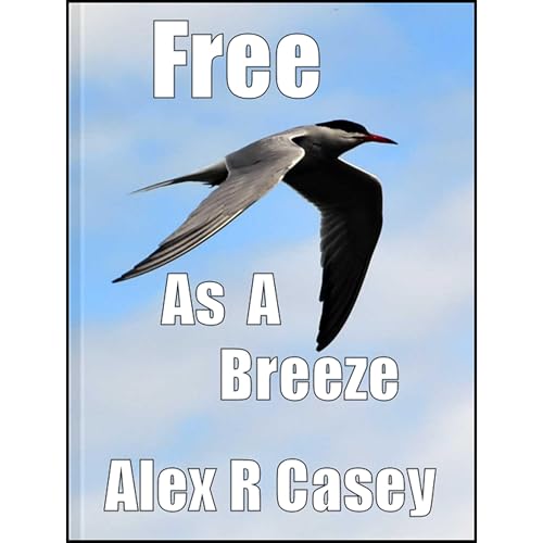 Free as a Breeze Audiolibro Por Alex R Casey arte de portada