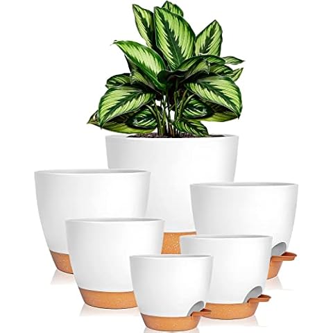 Kunststoff Blumentopf mit Untersetzer 20.3/17.7/16.5/15.2/14/12.5cm,6er-Set Selbstbewässerung Übertopf Kräutertopf Küche Set Cover