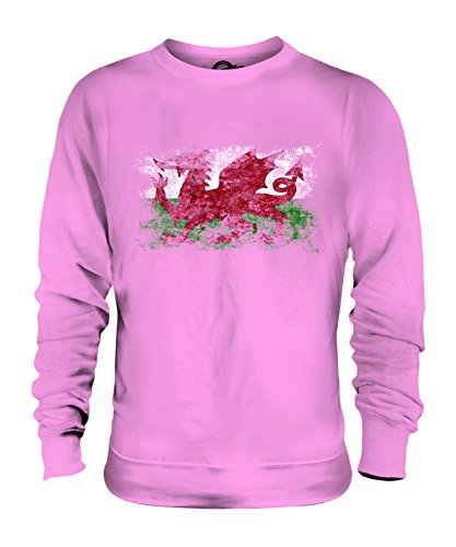 Sweat-shirt Pays de Galles drapeau délavé idéal pour vos sorties décontractées