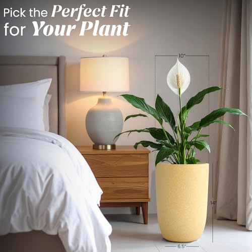 Image of YUCCABE ITALIA FOXB TPC 14 INCH Pots for Plants Highly Durable Polymers Lightweight Indoor Outdoor Plant Pots, Flower Pot Gamla Tree Planter Container Planters for Living Room, Balcony, Garden