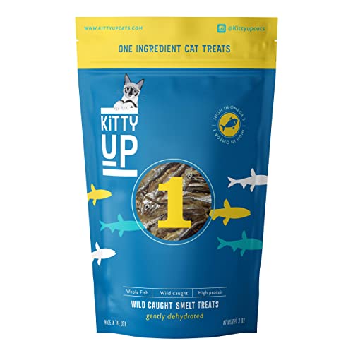 Kitty Up 1 Ingredient Wild Caught Smelt Treat - Gently Dehydrated Fish Cat Treats - High In Omega 3, Protein, Grain Free, Low Fat, Low Calorie - All Natural Cat Treats Made In The Usa - 3 Oz Bag #TOP29