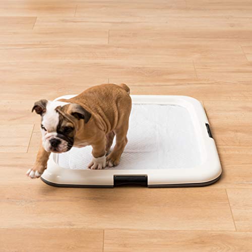 Iris 594501 Usa Pee Pad Holder, Square Dog Puppy Pad Holder, Secured Latches, Non-Skid Feet, High Polish Finish For Easy Cleaning, Leak Protection, Indoor Potty Tray thumb #3