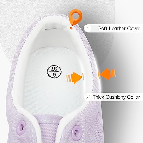 Shupua Women's Canvas Sneakers - White, Casual, Classic, Spring/Summer, Solid, Flat Heel, Athletic Shoes, Skateboarding, Lace-Up, Bow, Rubber Sole, Not Water Resistant, Adult Women's Size3