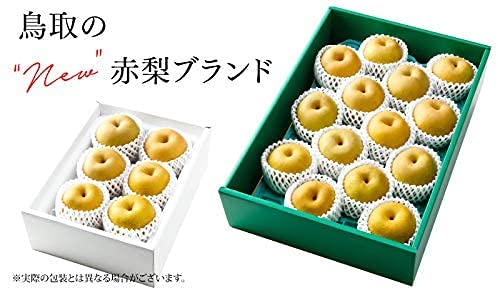 Amazon.co.jp: 梨 新甘泉 しんかんせん 青秀 5～9玉 2kg 鳥取県産 化粧