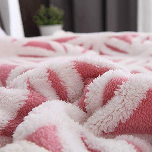 Lomao Sherpa Fleece Blanket Fuzzy Soft Bed Blanket Dual Sided Throw Blanket Fit Couch Sofa (Pink,51X63) #TOP3