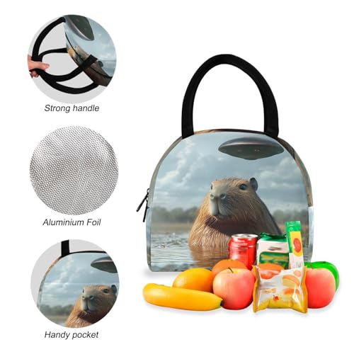 Backpack Lunch Bag Set Capybara Ufo Print, Big Storage Travel Backpacks with Insulated Lunch Box for Office Hiking Picnic4