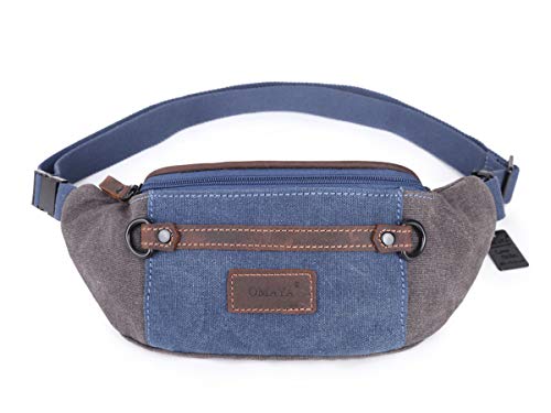 stylish waist bag
