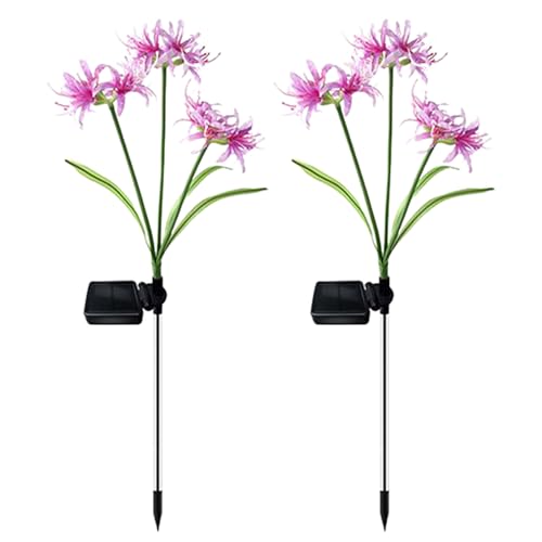 Lumière de jardin éclairée solaire étanche lampe sol extérieur