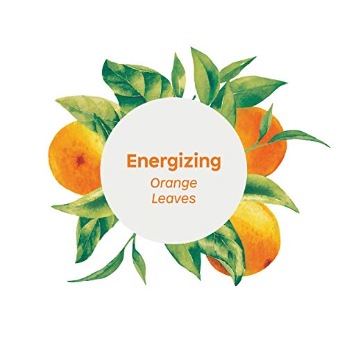 Attitude Super Leaves, Hypoallergenic Energizing Body Cream, Orange Leaves, 8 Fluid Ounce (18198) #TOP4