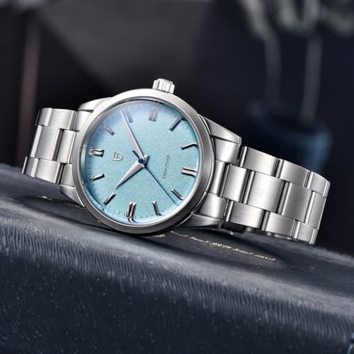 Pagani Design Men's Watches 38mm Dial Stainless Steel 100M Waterproof Quartz Watch VH31