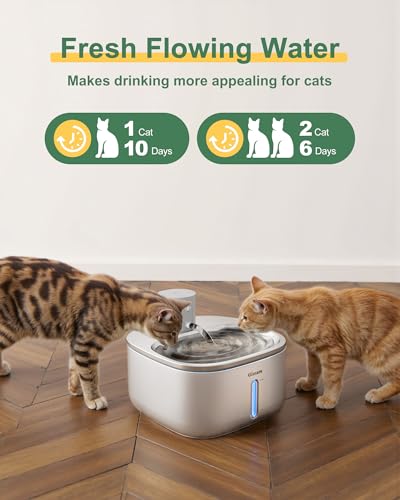 Fuente de Agua para Gatos Gimars 3.2L Batería miniatura 3