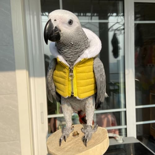 Pano de pássaro, festa de Natal, fantasia de aniversário para papagaio, Halloween, animais de estima