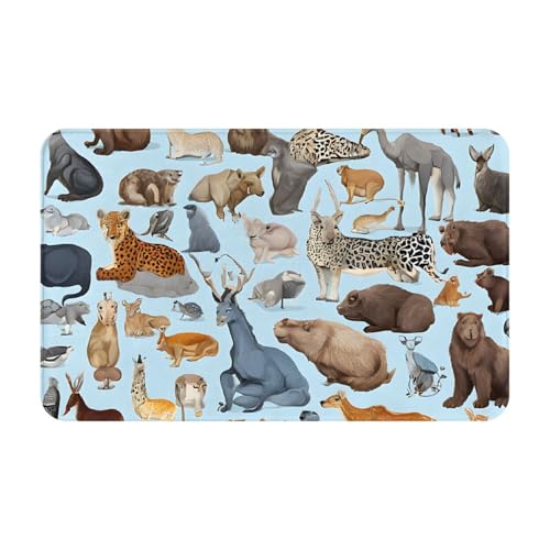Farm Animal Print Living Room Bathroom Kitchen Anti Slip and Absorbent Carpet, Indoor Entrance Door Muddy Floor Mat, Ultra Soft Washable Carpet 21x31.5 Inches