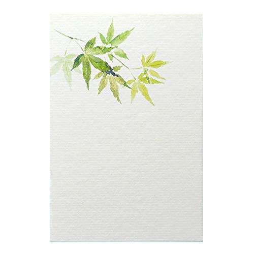 めでたや 季節のはがき 端午 初夏 青楓