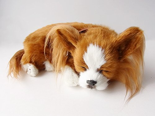 ニニアンドキノ パーフェクトペット (小サイズ) チワワ ロング (レッド&ホワイト) ぬいぐるみ 犬 いぬ イヌ リアル 本物 そっくり 雑貨 動物 アニマル 癒し 動く プレゼント ギフト お祝い かわいい 犬のぬいぐるみ