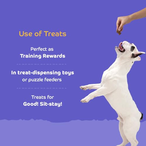 Image of Lamb with Ashwagandha Dog Biscuits for Puppies & Adult Dogs | Oven-Baked Crunchy Dog Treats Made with Real Ingredients | Healthy Training & Reward Snacks | 845g