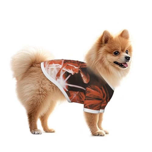  psVc gC ^ ^Ngbv ybg  L 킢 Vc hbOEFA m  q `  Eѕی U