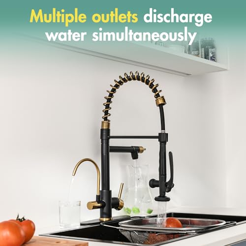 Image of Fapully Commercial Kitchen Faucet with Pull Down Sprayer and Water Filter | Matte Black&Brushed Gold, 3 in 1 Kitchen Faucets with Drinking Water Faucet for Kitchen Sink