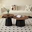 Black+walnut