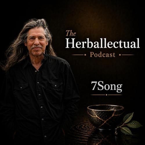 7Song: Pragmatism in Clinic, Crisis, and Classroom