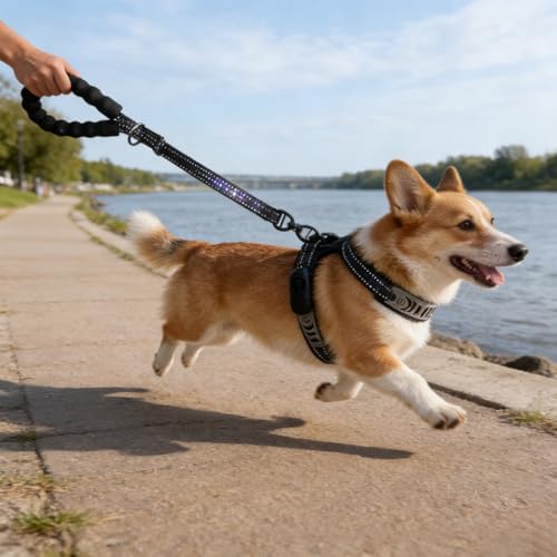 4-in-1 Elastic Dog Leash for Medium Large Dogs, Shock Absorbing Bungee Leash with Soft Foam Handle, Anti-Pull Anti-Choking Design, Adjustable Length, Heavy Duty Training & Walking — view 8