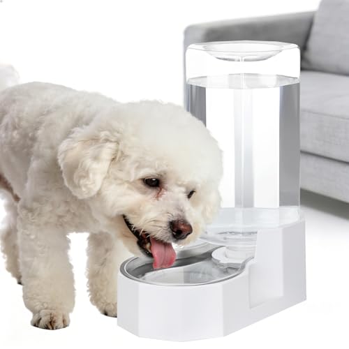 Automatic pet water dispenser with stainless steel bowl